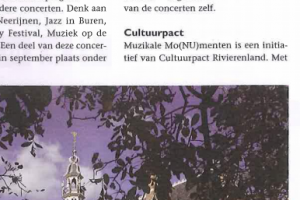 Gemeente Buren Magazine_2013 - Muzikale Monumenten